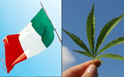 Italian Activists Turn In More Than Half A Million Signatures For Marijuana And Psilocybin Referendum