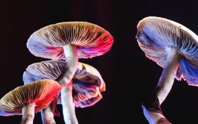 An Introduction to Five Psychedelics: Psilocybin, DMT, LSD, MDMA and Ketamine