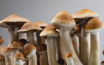 Psychedelics approved for medical use in Canada
