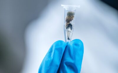 What Canada’s special access program means for patients and doctors