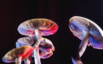 The next big trend in mental health treatments? Psychedelic therapy
