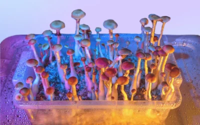 Study Finds Psilocybin Anti-Depression Effects Last at Least One Year