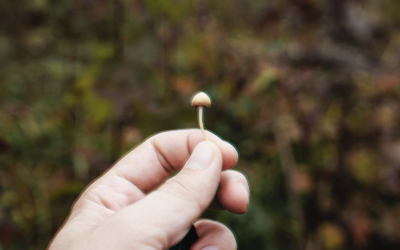 It May Be Time to Change Your Mind About Psychedelics