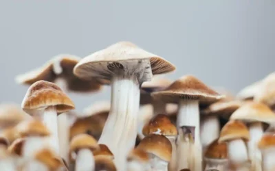 Psilocybin for depression could help brain break out of a rut, scientists say