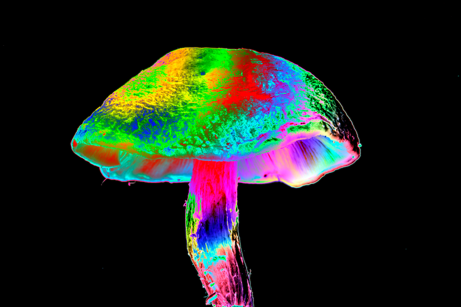 Psychedelics may ease cancer patients’ depression, anxiety